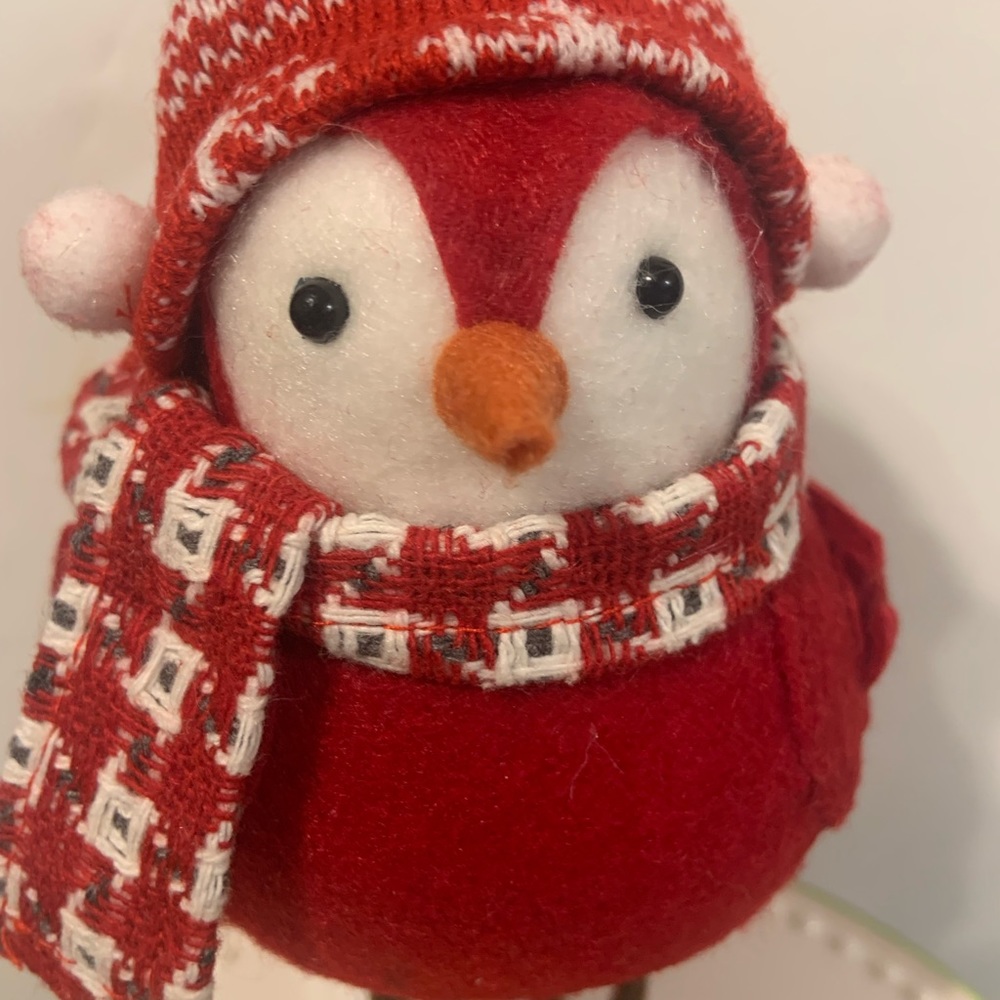 How cute is this bird? Not a Target bird